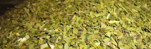 Loose Yerba Mate